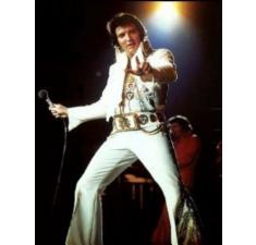 Elvis Lever - eller gør han ! billede