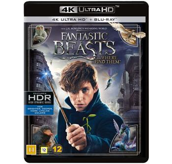 Fantastic Beasts and Where to Find Them (4K) billede