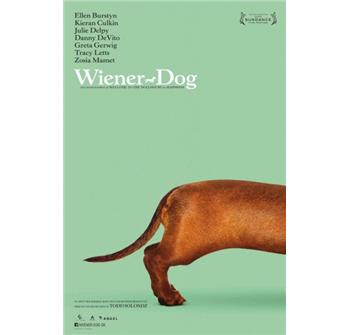 Wiener-Dog billede