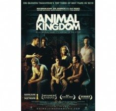 Animal Kingdom billede