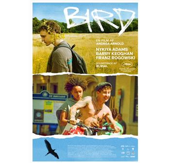 Bird (Blockbuster) billede
