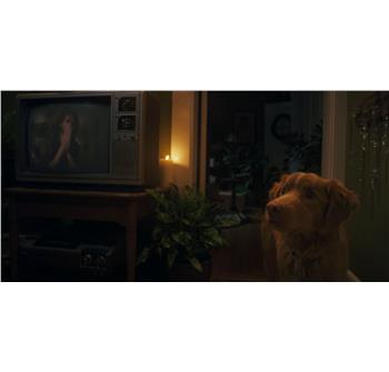 copyright: Angel Films