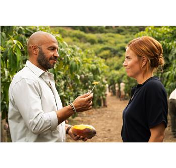 copyright: Drive Studios