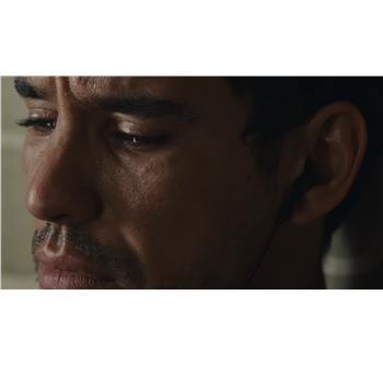 copyright: Lucky Dogs