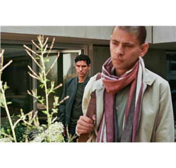 copyright: Lucky Dogs