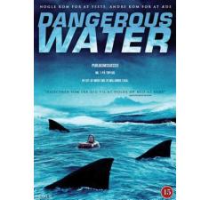 Dangerous Water billede