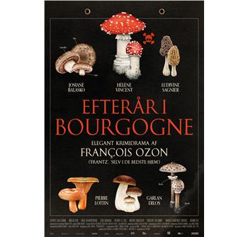 Efterår i Bourgogne billede