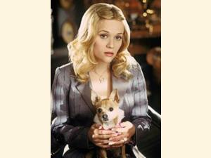 Elle Woods (Reese Witherspoon) med sin lille hund Bruiser.