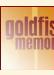 Goldfish Memory  billede