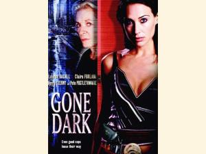 Her er det amerikanske DVD cover, hvor  original-titlen er Gone Dark.