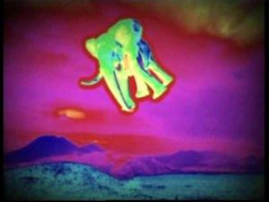 Her er det optagelsen fra gruppen Nekta - Gad vide om Pink Floyd fike deres ide her til deres flyvende grise ?