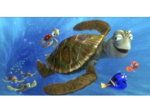 Kæmpeskildpadden Crush, der surfer på Stillehavsstrømmene  -  en af filmens sjoveste figurer.