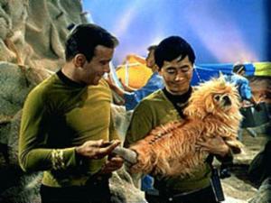 Kaptajn James T. Kirk og Sulu med et fremmed væsen fra en fjern galaxe.