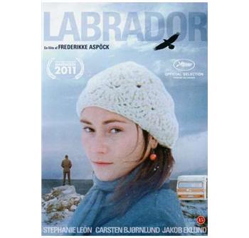 Labrador billede