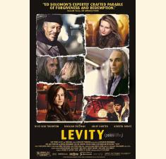Levity (DVD) billede