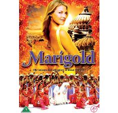 Marigold billede