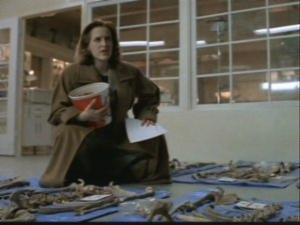 Scully samler beviserne til endnu en sag og forsøger at få sig et overblik, men noget stemmer ikke rigtig ...