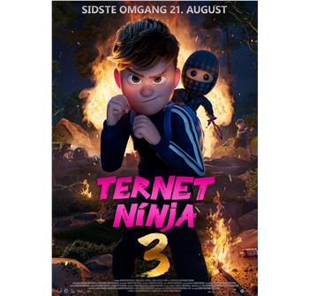 Ternet Ninja 3 billede