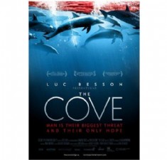 The Cove billede