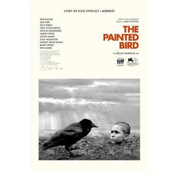 The Painted Bird billede