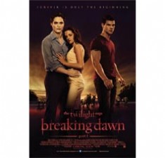 The Twilight Saga: Breaking Dawn, Del 1 billede