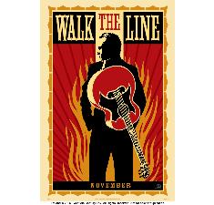 Walk the Line – 2-disc dvd collector’s edition  billede