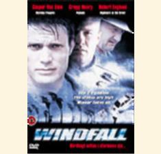 Windfall (DVD) billede
